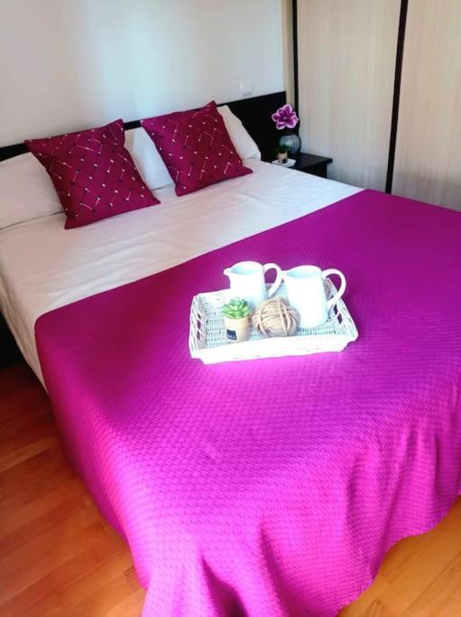 Апартаменты Acogedor Apartamento Con Piscina Y Garaje Уэска Экстерьер фото